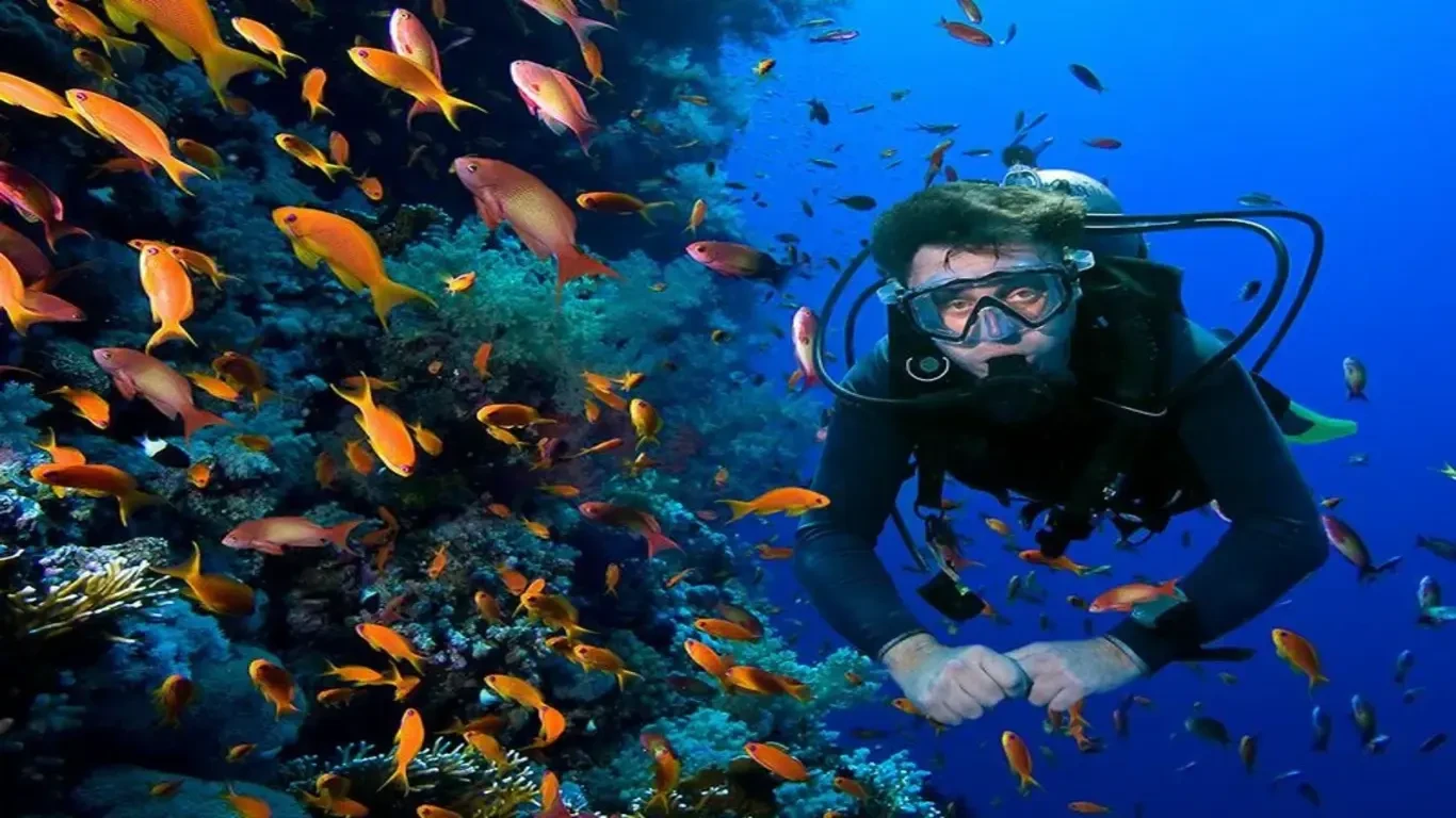 Diving